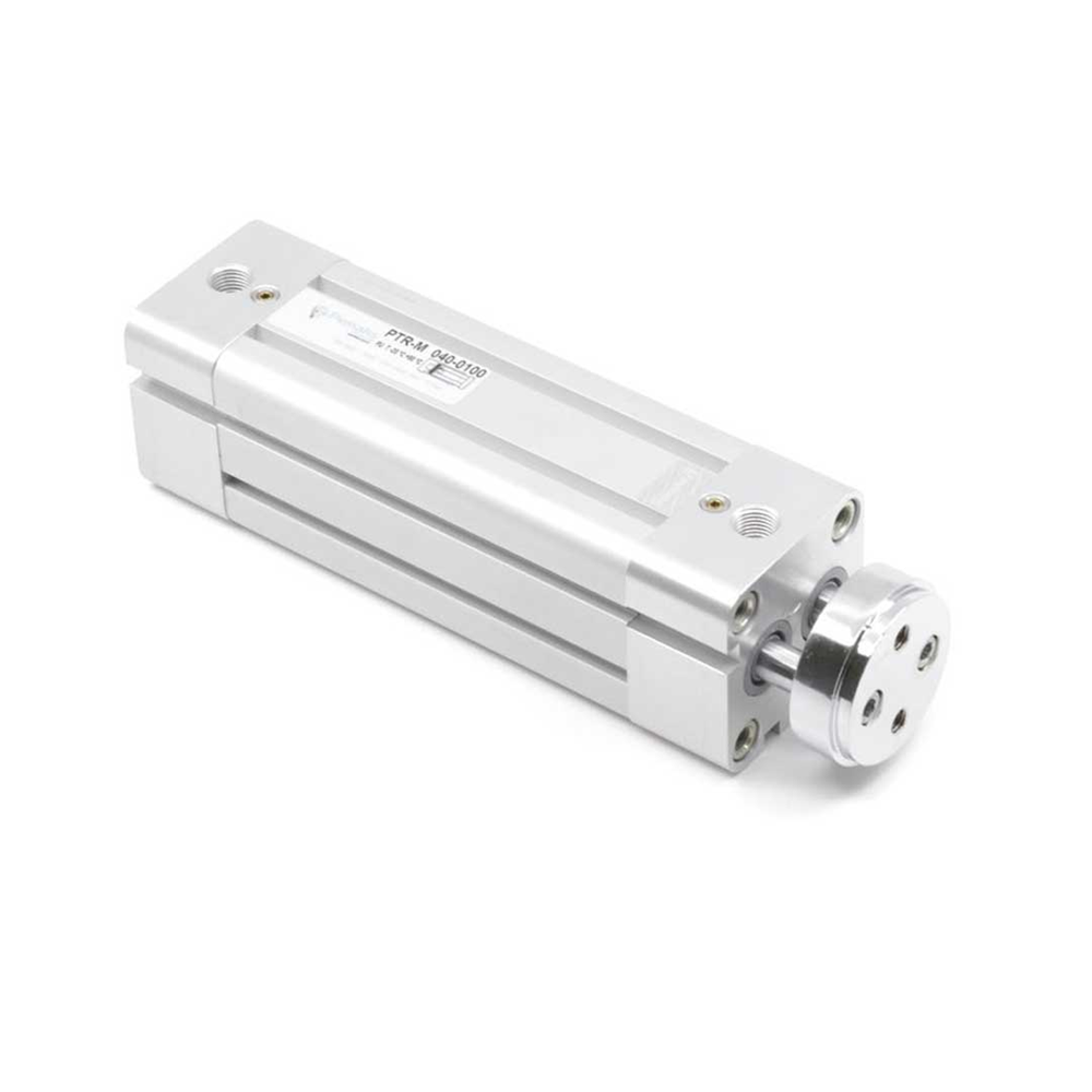 Двухштоковый пневмоцилиндр PTRM-80-100 Pemaks