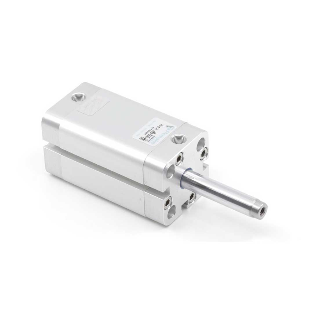 Пневмоцилиндр PKEA-100-020 Pemaks